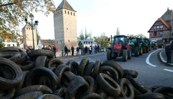 En Alsace, les élus approuvent le principe d’une taxe poids lourds à partir de 2027