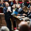 En direct : à l’Assemblée, Antoine Armand évoque la possible entrée de l’Etat au conseil d’administration d’Opella, qui produit le Doliprane