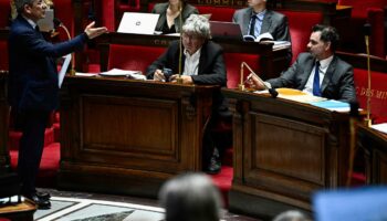 En direct, budget 2025 : suspension des débats sur le volet « recettes » du projet de loi de finances