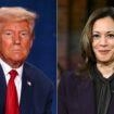 Entre Donald Trump et Kamala Harris, qui prend la tête des sondages ?