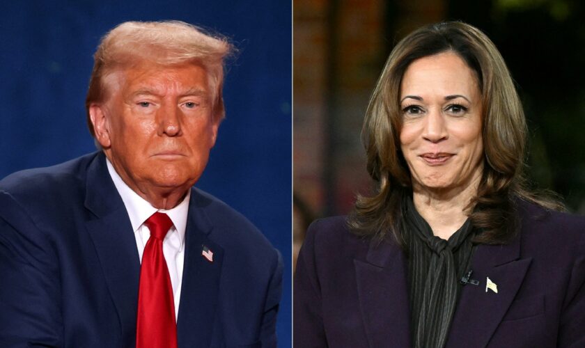 Entre Donald Trump et Kamala Harris, qui prend la tête des sondages ?