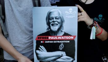 Environnement: L'écologiste Paul Watson a demandé l'asile politique à la France