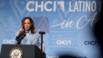 « Face au péril d’une érosion probable du vote ethno-racial, Kamala Harris a pris quelques contre-mesures »