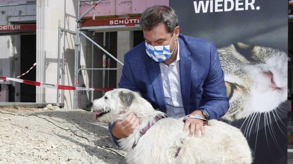 CSU-Chef Markus Söder mit Hund im Jahr 2020: Die CSU spricht von einem angeblichen Hundeverbot.