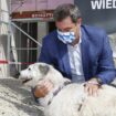 CSU-Chef Markus Söder mit Hund im Jahr 2020: Die CSU spricht von einem angeblichen Hundeverbot.