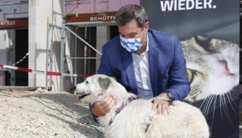 CSU-Chef Markus Söder mit Hund im Jahr 2020: Die CSU spricht von einem angeblichen Hundeverbot.