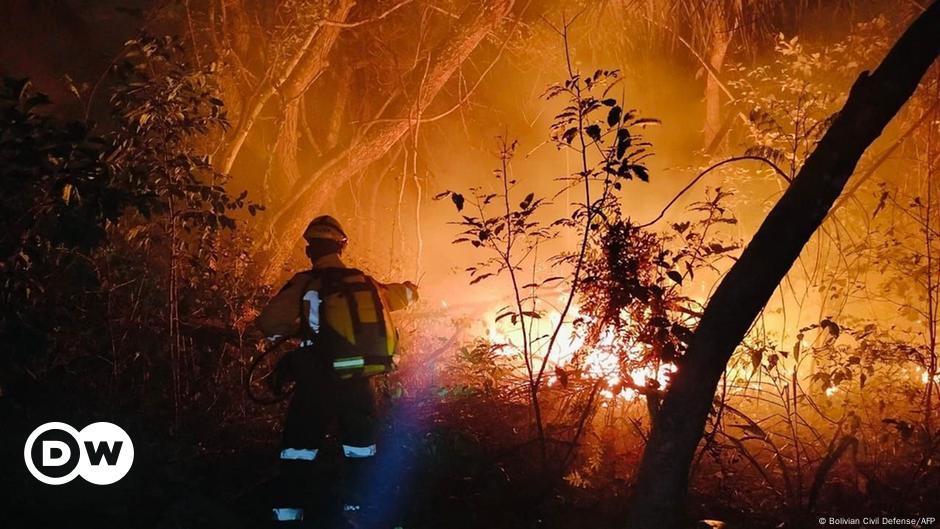 Feuer: Umweltkatastrophe in Bolivien