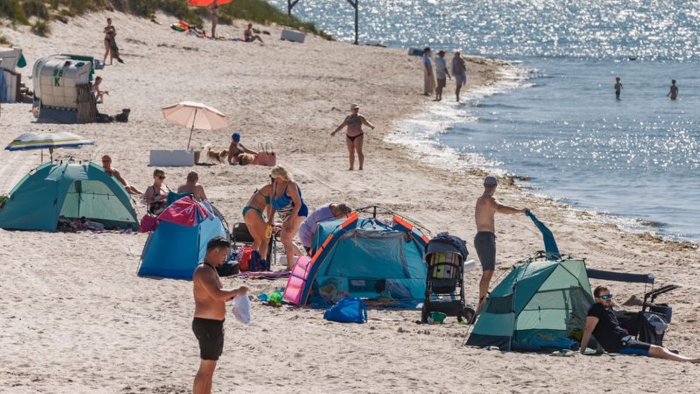 Nord- und Ostsee locken viele Touristen nach Schleswig-Holstein. Foto: Markus Scholz/dpa