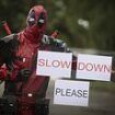 Furious cat owner, 59, dresses up as superhero Deadpool to stop speeding motorists who killed his moggy