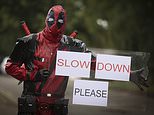 Furious cat owner, 59, dresses up as superhero Deadpool to stop speeding motorists who killed his moggy