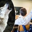 Fury as a THIRD Scottish council allows a pupil suffering from 'species dysphoria' to identify as an animal