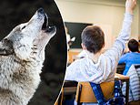 Fury as a THIRD Scottish council allows a pupil suffering from 'species dysphoria' to identify as an animal