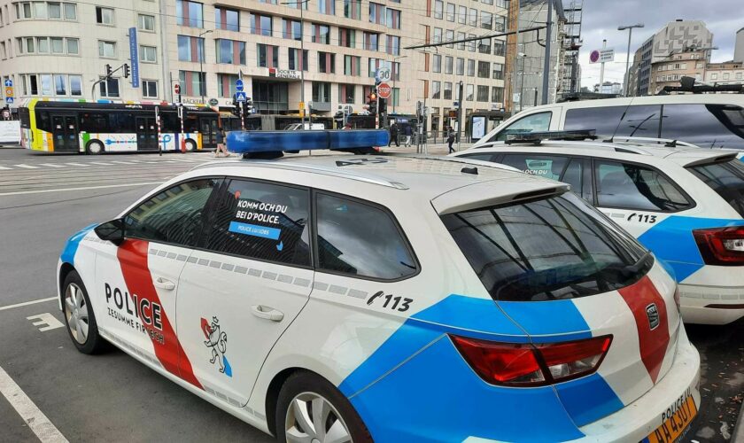 Gare de Luxembourg: Ivre, il s'amuse à courir sur la voie ferrée