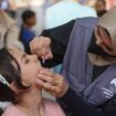 Gaza : la vaccination contre la polio reportée en raison de « bombardements intensifs »