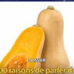 Gorafi Magazine : Dossier – 100 raisons de parler des courges butternut plutôt que de l’actu