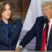 US-Wahl 2024: Trump Harris im Bild