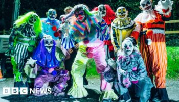 Halloween clown in reported 'medical device' attack