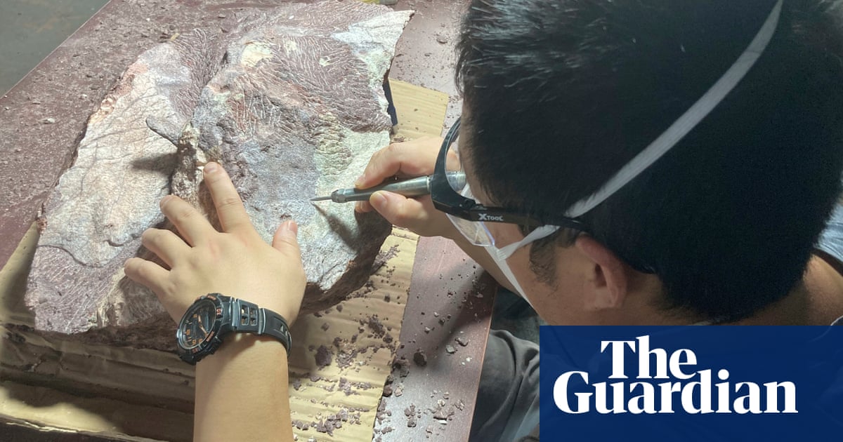 Hong Kong unearths its first ever dinosaur fossils