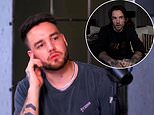 'I don't know if I've hit rock bottom yet': How Liam Payne was candid about recurring suicidal thoughts as he struggled with drugs, alcohol and fame amid 20-year mental health battle