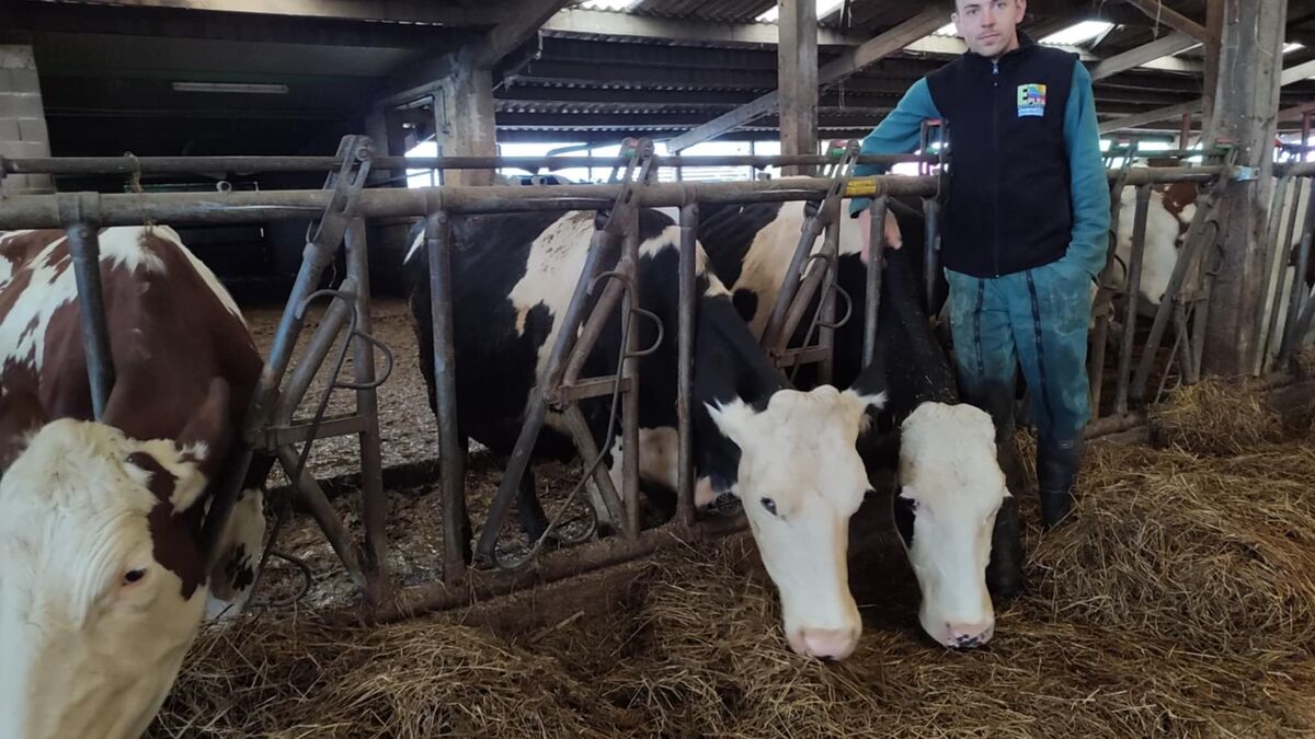 « Il n’est pas bon mon lait ? » : lâchés par Lactalis, les éleveurs des Vosges broient du noir