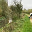 Île-de-France : contre les inondations, on restaure des rivières longtemps enfouies sous le béton