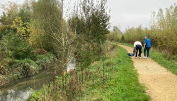 Île-de-France : contre les inondations, on restaure des rivières longtemps enfouies sous le béton