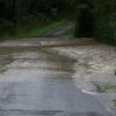 Inondations en France: La vache "Panga", symbole de la crue dévastatrice, n'a pas survécu