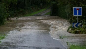 Inondations en France: La vache "Panga", symbole de la crue dévastatrice, n'a pas survécu