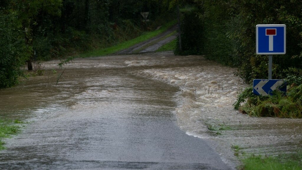 Inondations en France: La vache "Panga", symbole de la crue dévastatrice, n'a pas survécu