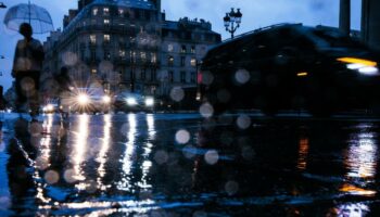 Intempéries à Paris : un homme décède après la chute d’un arbre, deux enfants blessés