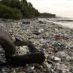 «Interdire le plastique aux pays émergents serait du néocolonialisme»: l'écologie, une arme de guerre économique