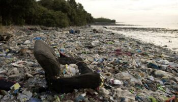 «Interdire le plastique aux pays émergents serait du néocolonialisme»: l'écologie, une arme de guerre économique