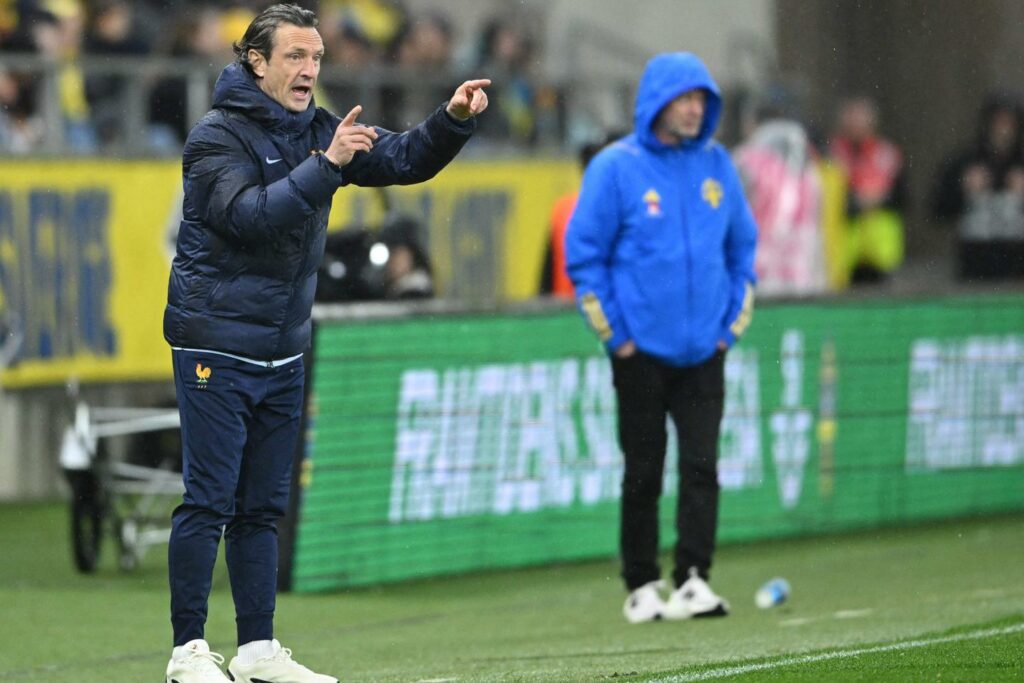 « Je n’arrive pas avec le même charisme qu’Hervé Renard » : Laurent Bonadei, le sélectionneur méconnu qui murmure à l’oreille des Bleues du football