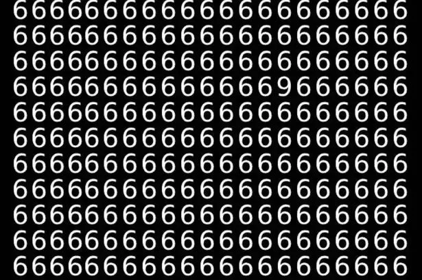 Just 1 percent of people can find the hidden 9 in a sea of 6s in less than 9 seconds