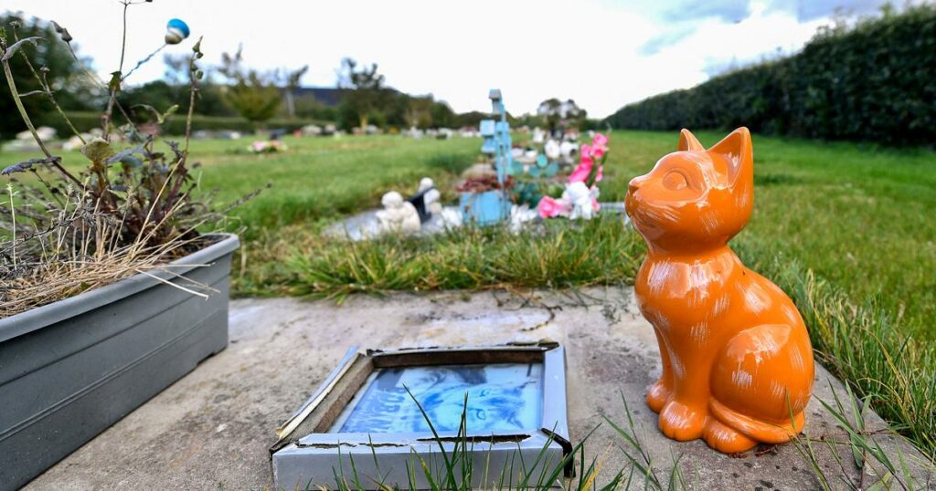 La Baule va ouvrir le premier cimetière animalier de Loire-Atlantique