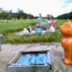 La Baule va ouvrir le premier cimetière animalier de Loire-Atlantique