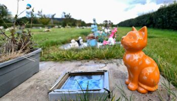 La Baule va ouvrir le premier cimetière animalier de Loire-Atlantique