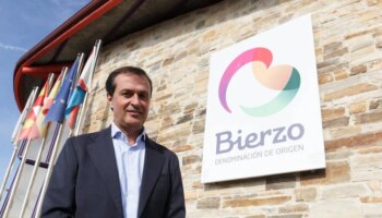 La DO Bierzo formaliza el recurso contra el uso en Rueda de la uva godello