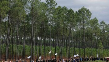 La manifestation contre la LGV du Sud-Ouest a réuni près de mille personnes ; une enquête ouverte après des « tirs en direction de l’hélicoptère de la gendarmerie »