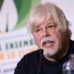 L’activiste Paul Watson a sollicité Emmanuel Macron pour lui demander l’asile politique