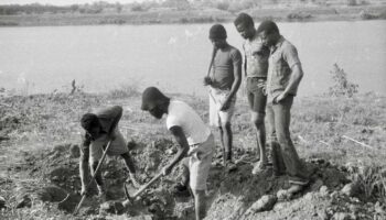 « Les Voies croisées » : quand les travailleurs migrants rentrent au pays pour cultiver la terre