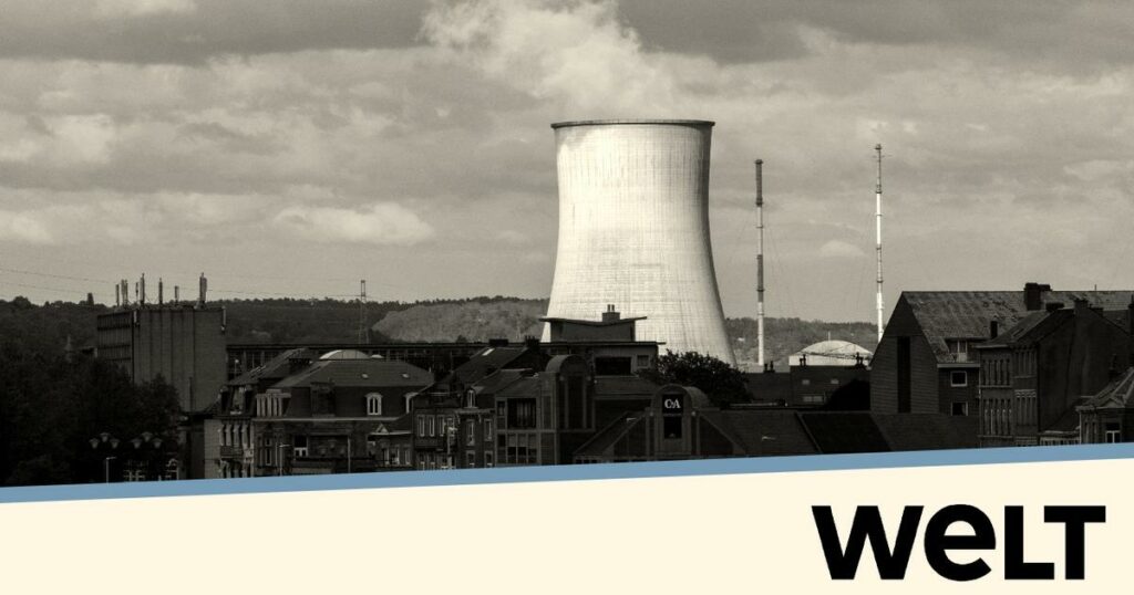 «Les positions ont totalement changé au sein de la Commission» : l’inexorable retour de l'énergie nucléaire en Europe ?