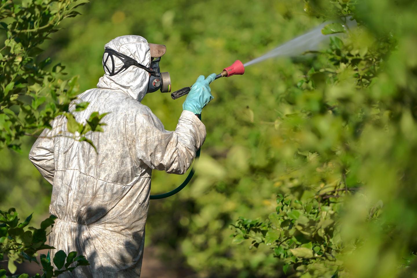 Les produits phytosanitaires responsables du déclin des populations d’insectes