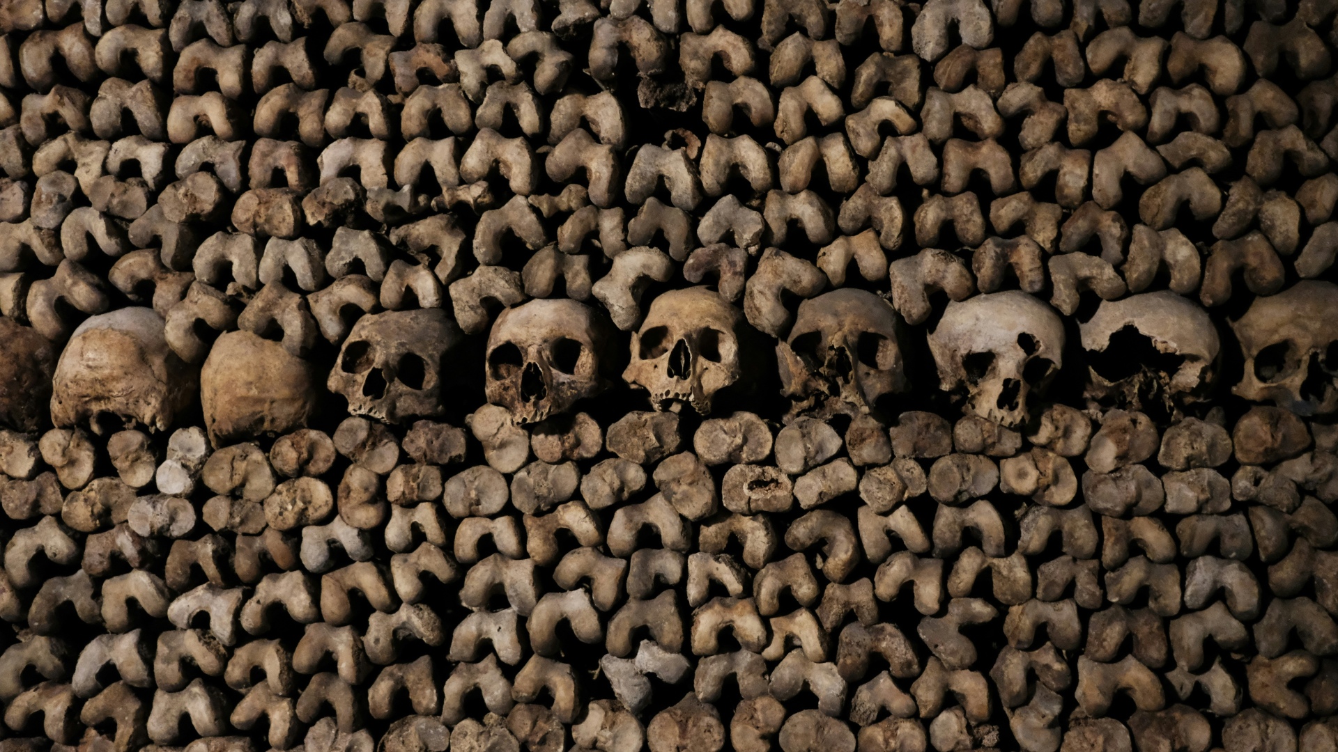 Les secrets de près de 6 millions de personnes dont les os jonchent les catacombes de Paris bientôt révélés