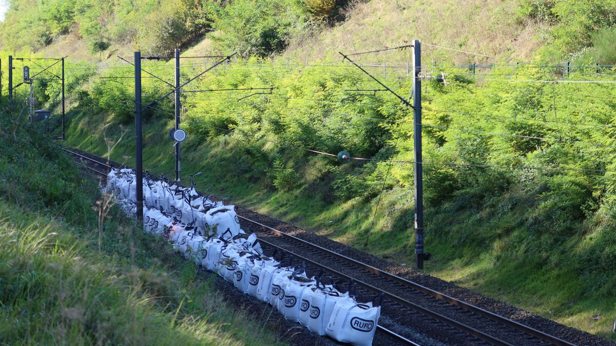 Ligne P : après 15 jours de galère, les trains de voyageurs seront de retour dès ce lundi