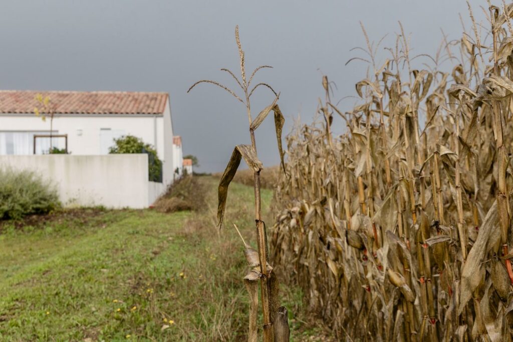 « L’indemnisation des victimes de pesticides est bien trop modique pour remettre en cause l’économie du secteur »