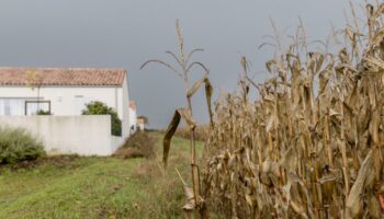 « L’indemnisation des victimes de pesticides est bien trop modique pour remettre en cause l’économie du secteur »