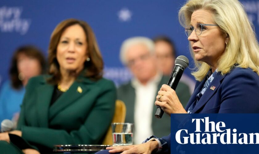 Liz Cheney urges conservatives to back Kamala Harris over abortion