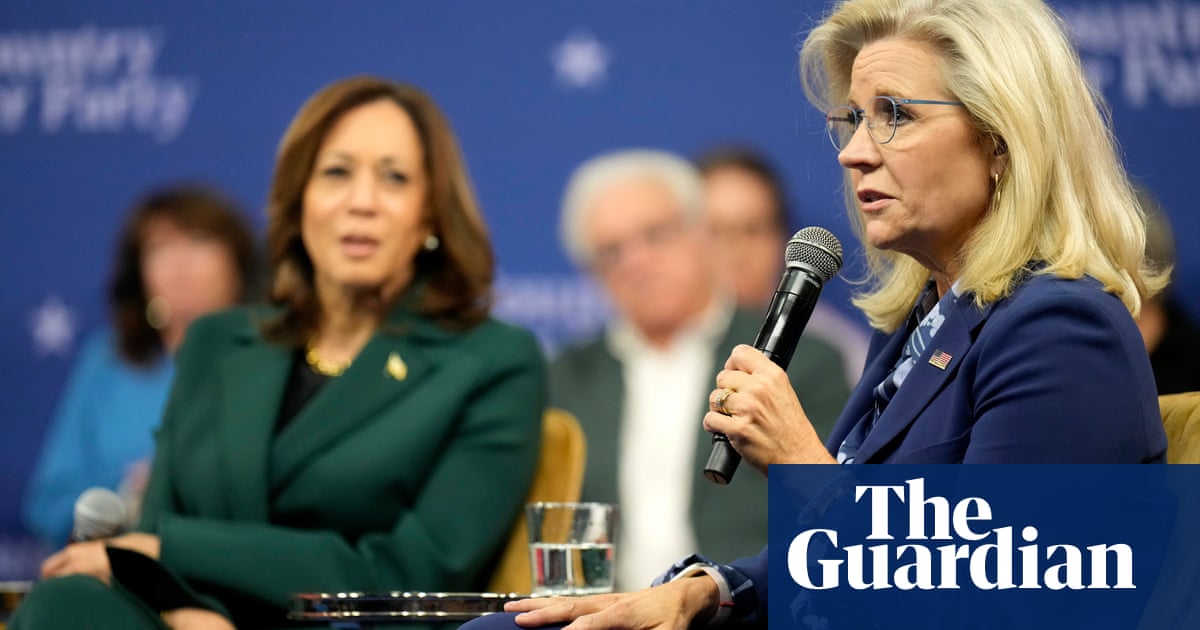 Liz Cheney urges conservatives to back Kamala Harris over abortion