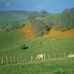 Loi d’orientation agricole : « Le seul critère incontournable pour garantir l’avenir de notre agriculture est la qualité de la vie de nos sols »